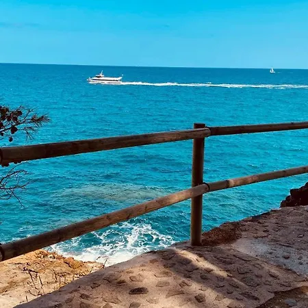 Paradise Lloret *