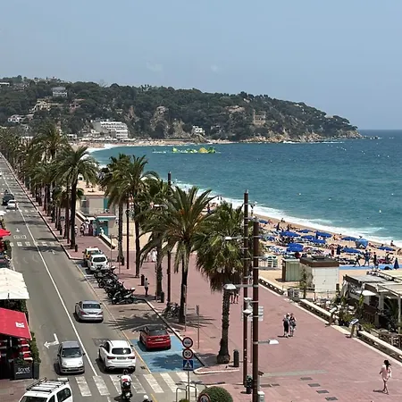 Paradise Lloret *