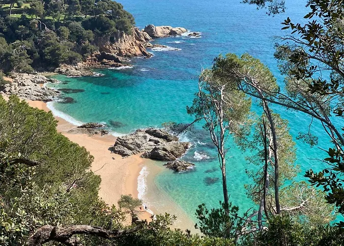 Paradise Lloret